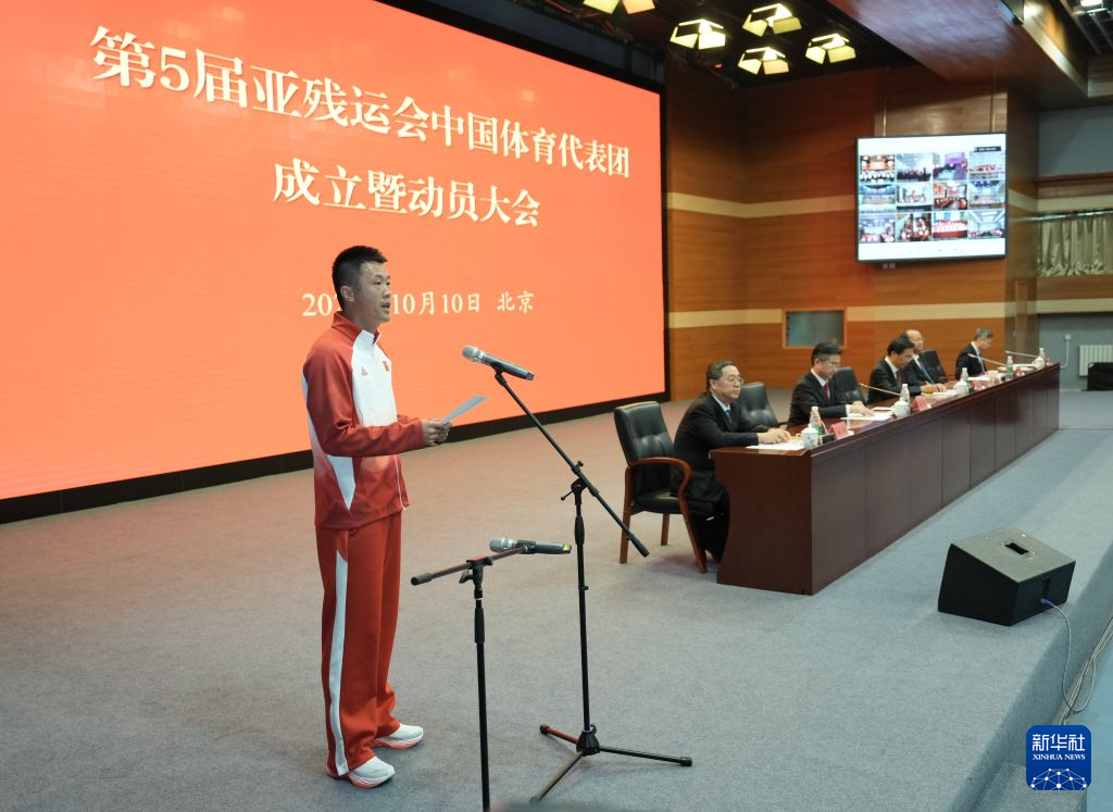 1xbet案例展示