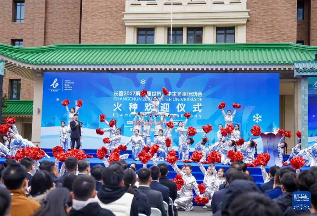 1xbet案例展示