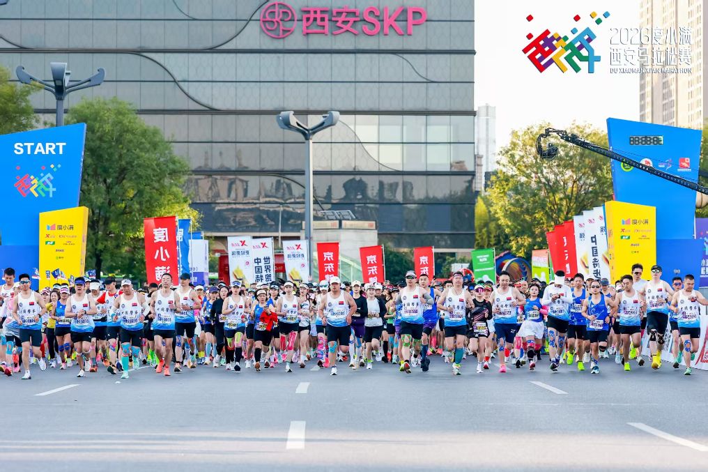 1xbet案例展示